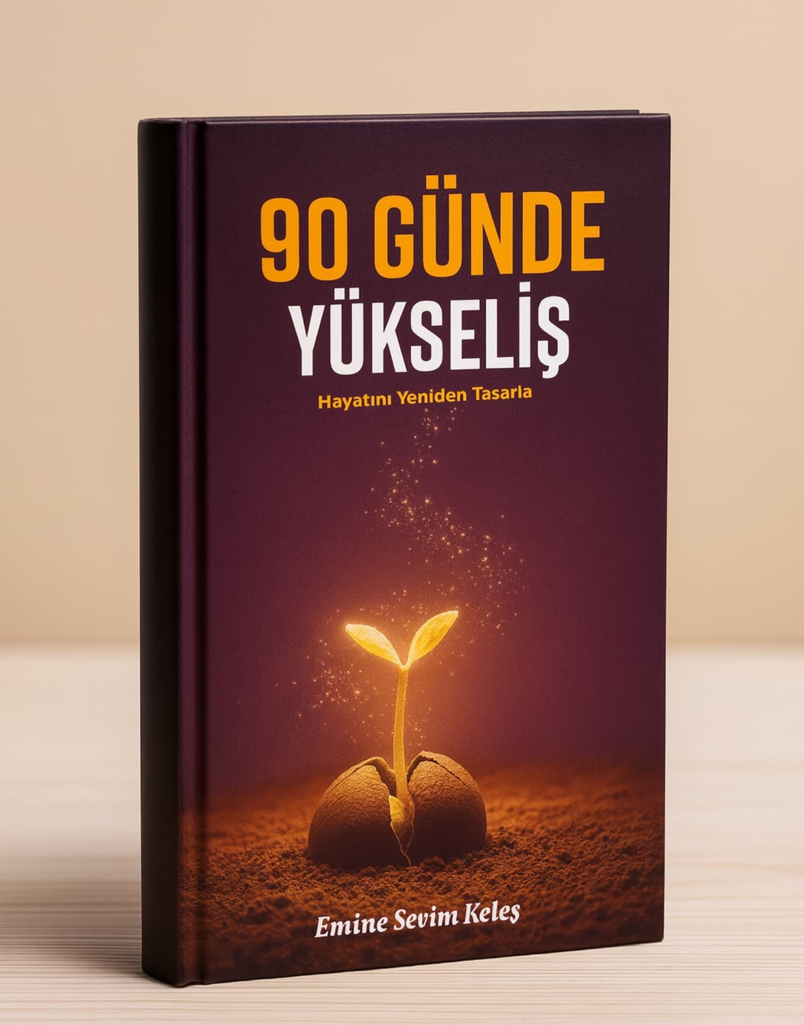 kitap 90 gunde yukselis